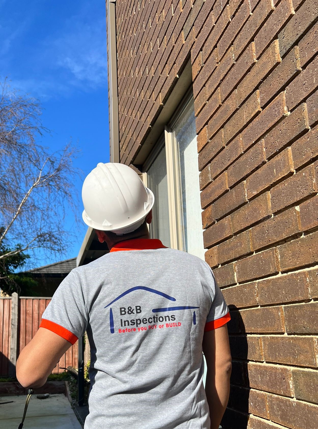 Timber and Pest Inspections